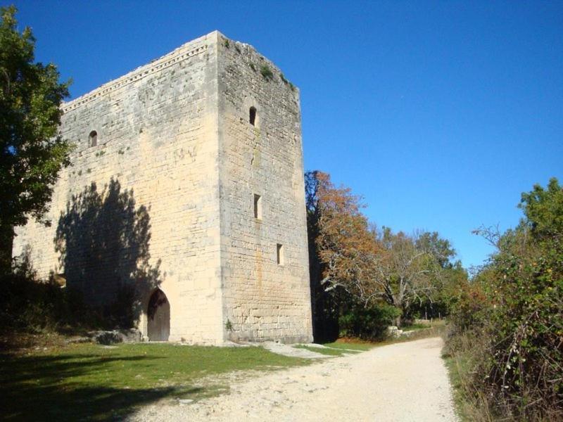 Gite Hanna En Luberon - Le Boisset De St Martin De Castillon Saint-Martin-de-Castillon Exterior foto